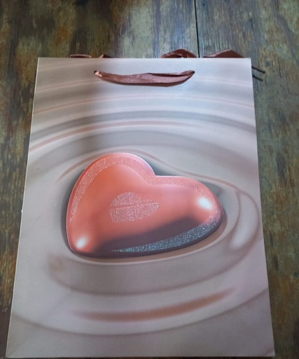 Bolsa De Regalo Chica