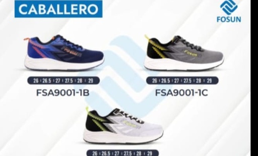 [CDS0055] Tenis Caballero