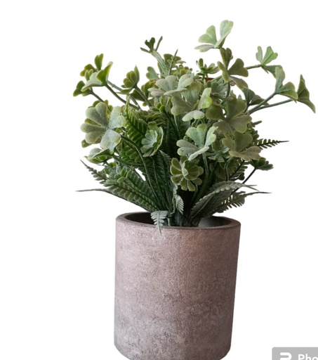 [CDS0090] Macetas Grandes Varios