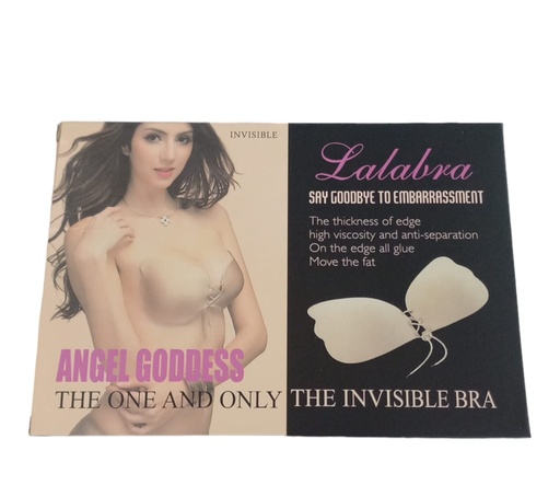 [CDS0201] Brasier Pegables